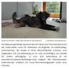 2026-04-23 Kollege Hund