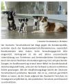 2026-05-25 Hunde im Tierheim
