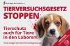 tierversuchsgesetz_teaser